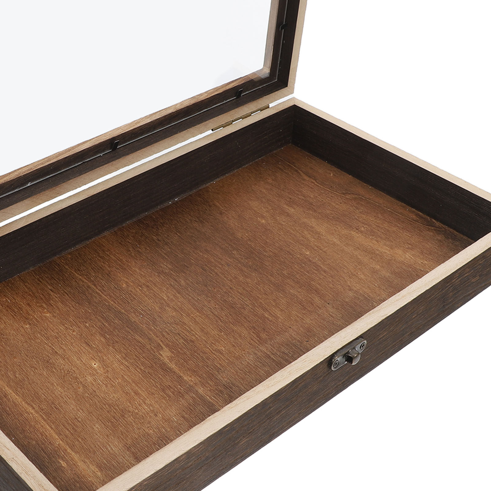 Wooden Insect Box Butterfly Sp - Frame Display Wood ulasan dan harga