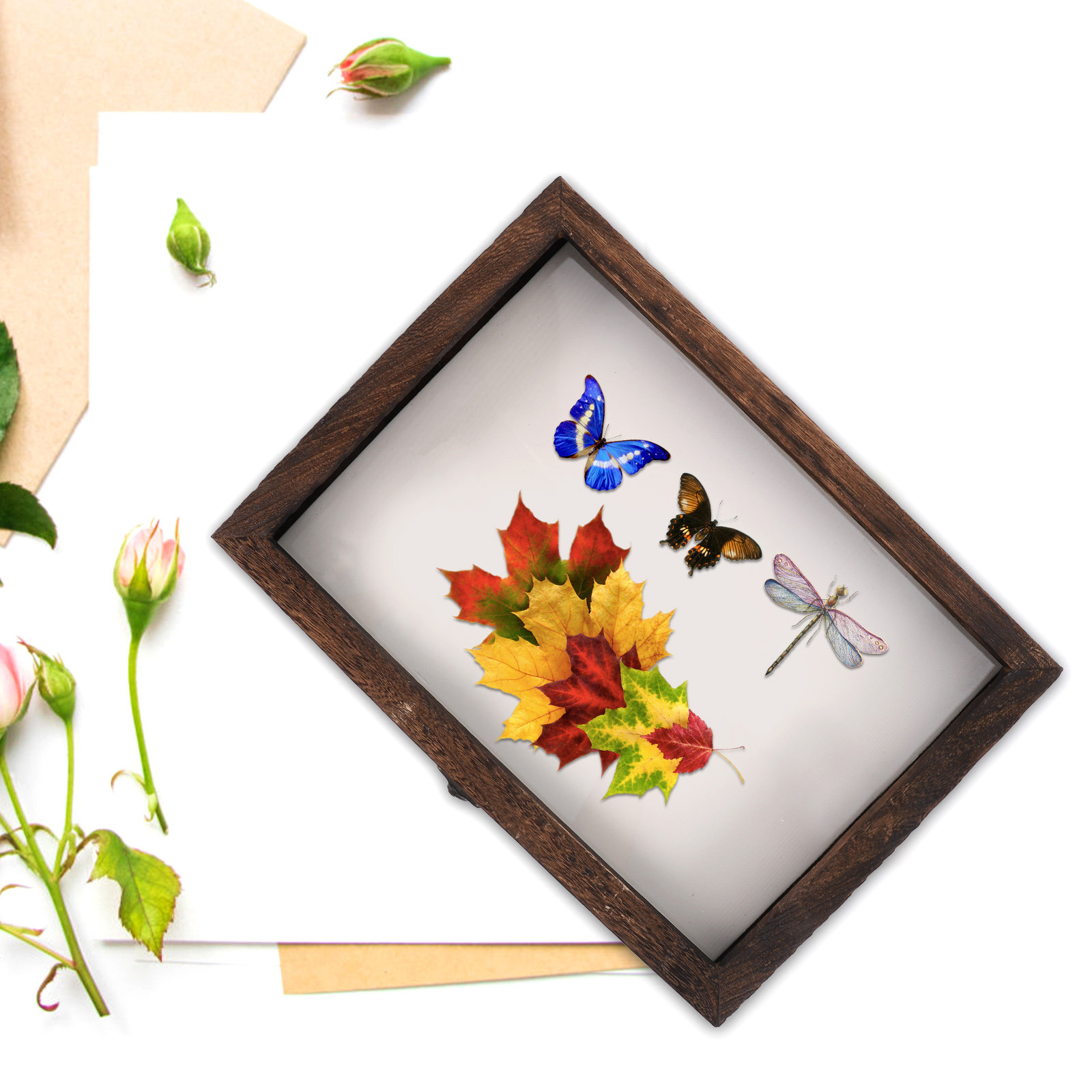 1Set Wood Specimen Showcase In - Frame Display Wood ulasan dan harga