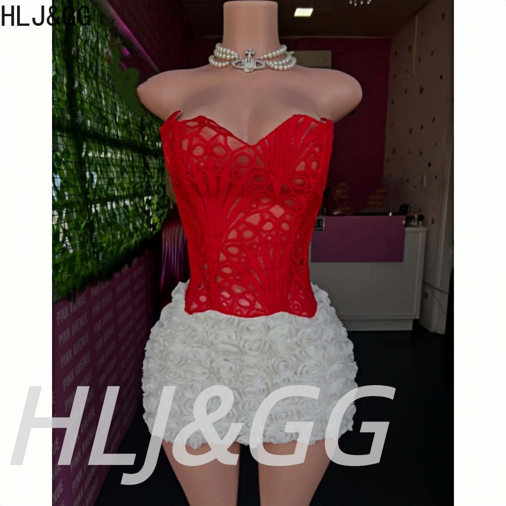 HLJ&GG Sexy Sweet Hollow Embro - Embroidery In The Piece ulasan dan harga