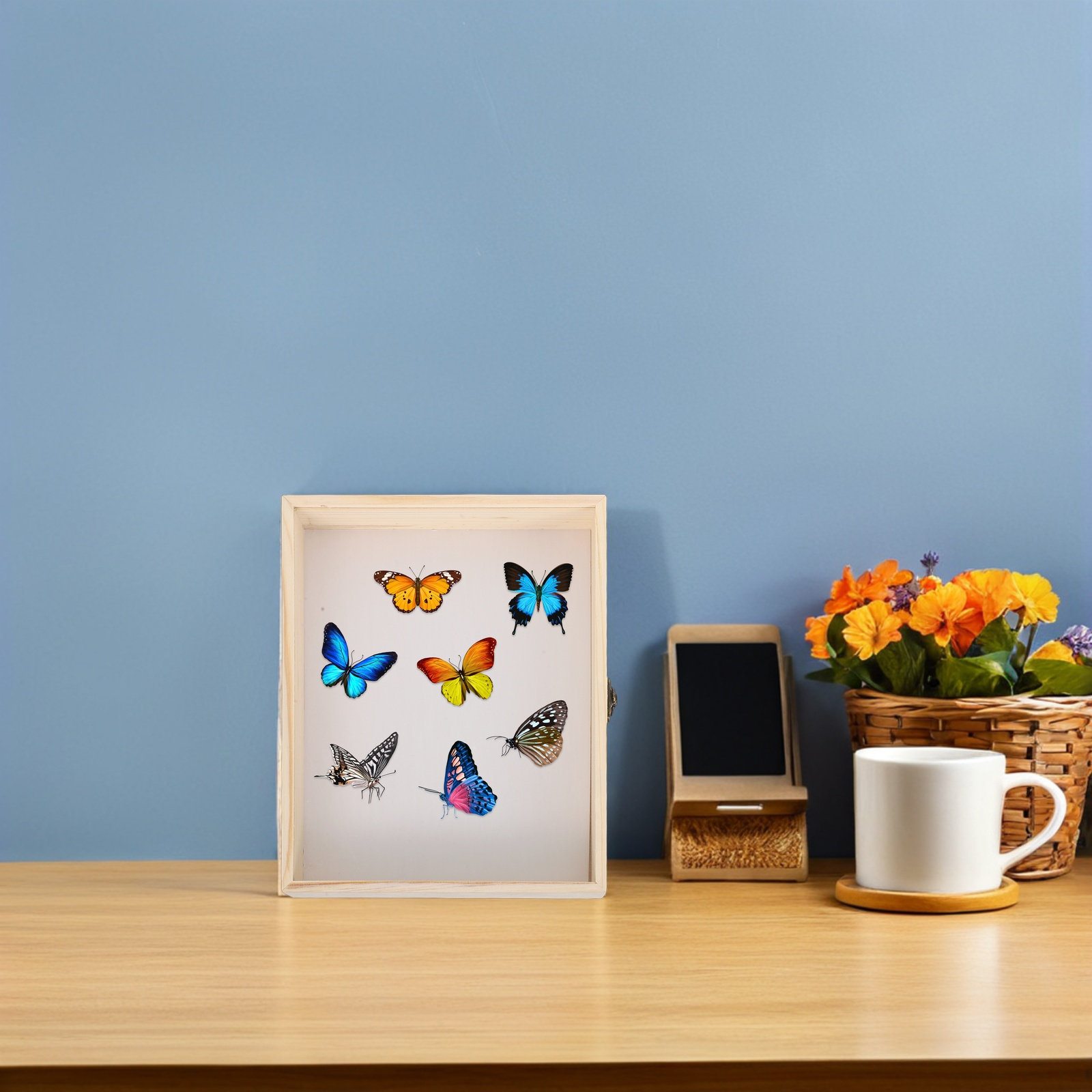 Solid Wood Insect Specimen Dis - Frame Display Wood ulasan dan harga