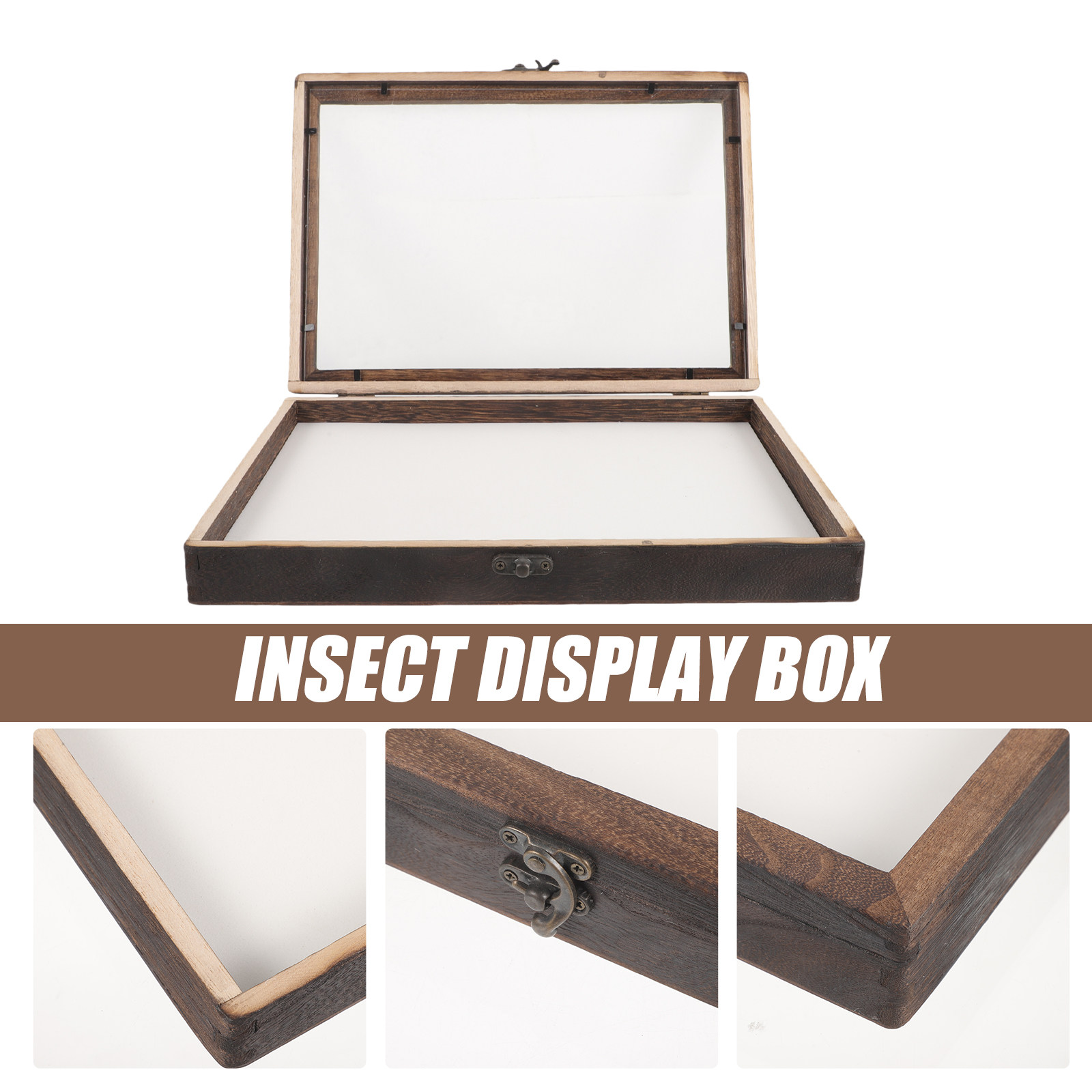 1Set Insect Specimen Display B - Frame Display Wood ulasan dan harga